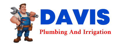 Trusted plumber in LOWRY